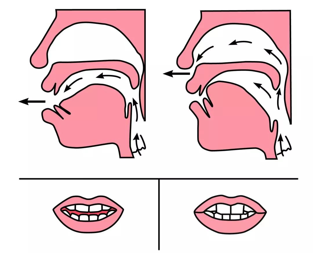 翘舌音发音口型步骤图-图库-五毛网