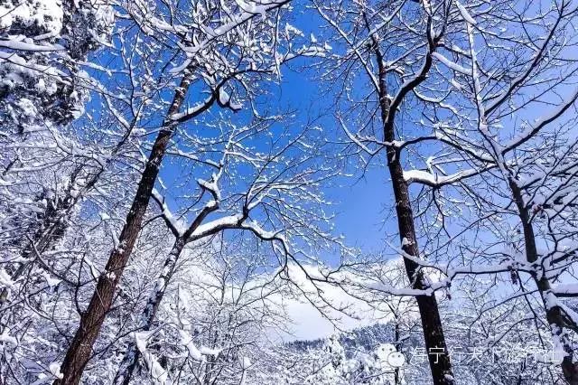 小雪将至江南山中雪景提前预告不输北国的气势磅礴