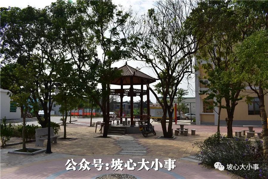 坡心这条村厉害了在村里建了一个公园