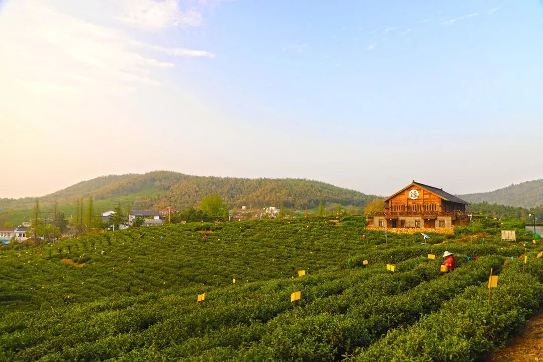 黄龙岘茶文化旅游村