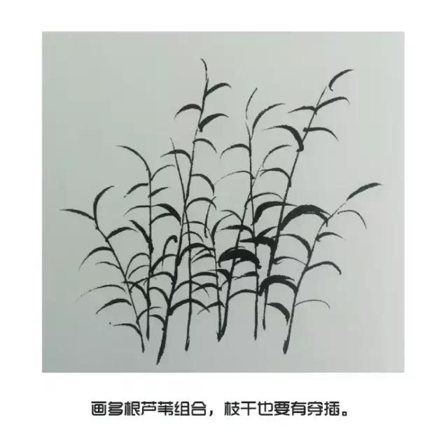 国画技法:芦苇的画法