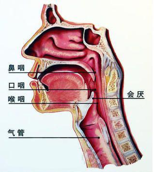 喉咙痛别大意七旬老人遭急性会厌炎封喉刚踏入病房就窒息