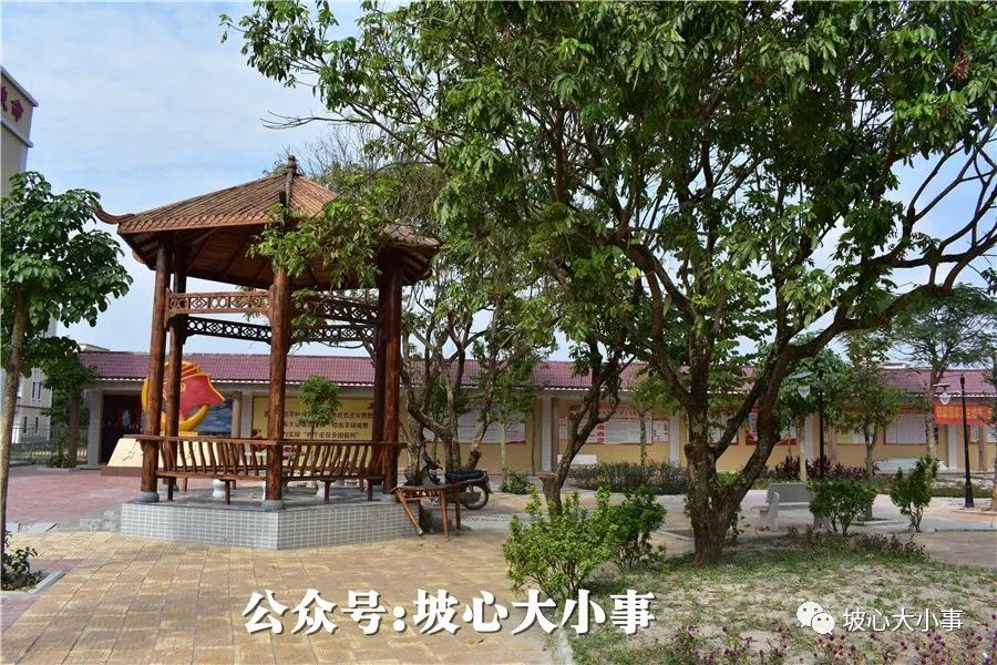 坡心这条村厉害了在村里建了一个公园