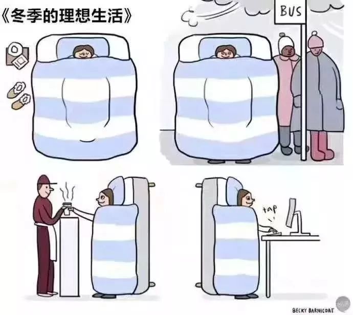 被冻醒之后还是要回归现实.