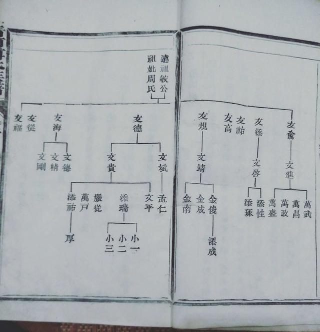 福建省白莲镇升平傅氏家族族谱皇帝勅命召书人物源流世系吊图