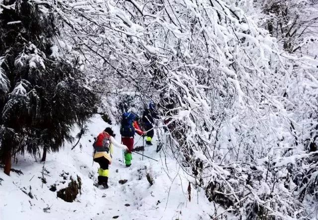 宝山下雪啦,彭州的雪终于安排上了!