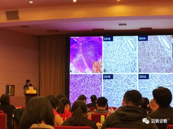 浙江省抗癌协会肿瘤病理专委会年会