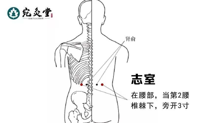 北京宛灸堂大讲堂 | 艾灸调理内伤咳嗽!