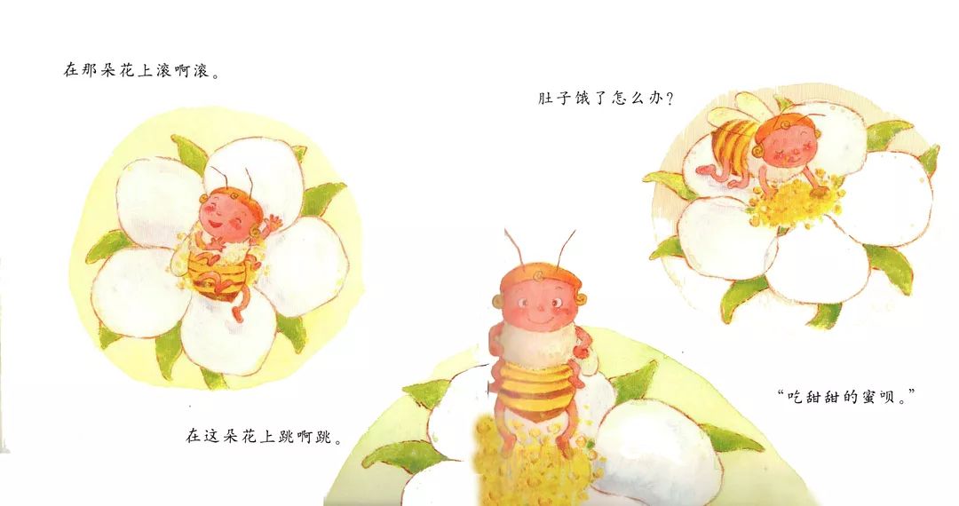 【一齐讲】《小蜜蜂嗡嗡》柴美伊 张齐