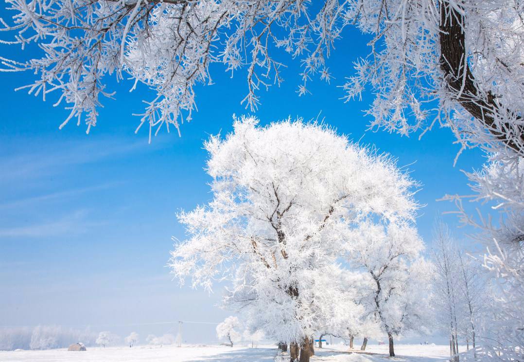 整治宰客雪乡明码标价网友却感觉被忽悠其实可赏雪地方很多