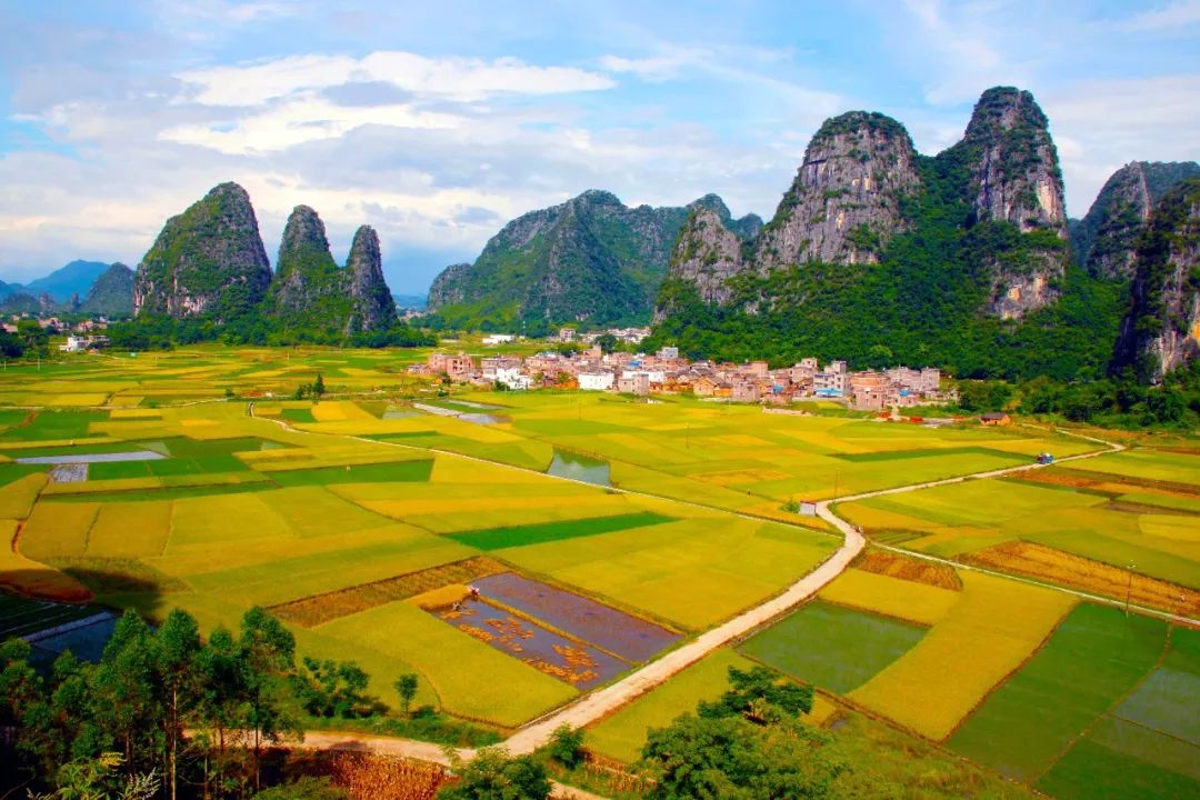 钟山县人口有多少_钟山县地图图片