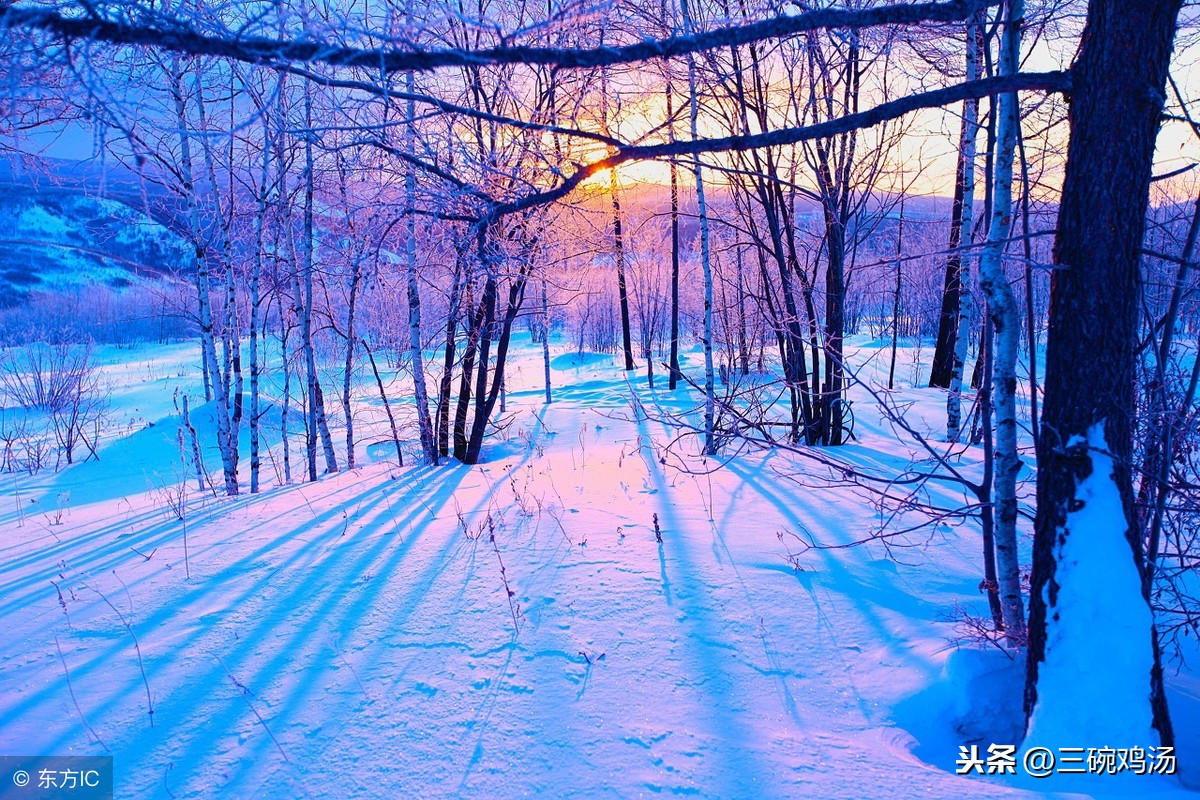 【小雪】一个早冬的黄昏,城门一声轻响,一轮新月挂在半空!