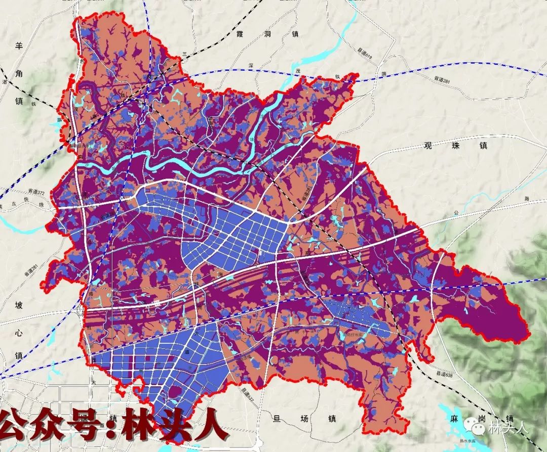 电白林头镇总体规划图出炉