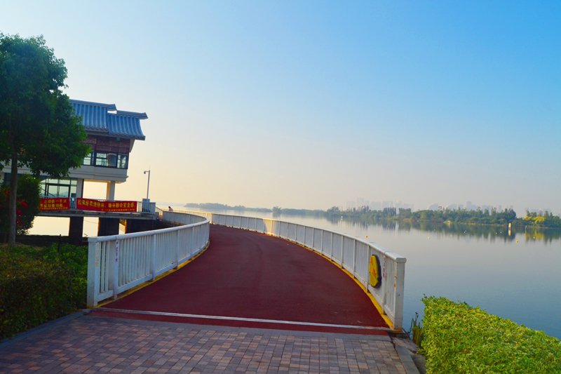 一路骑行厦门最美线路:从海上自行车道到集美龙舟池