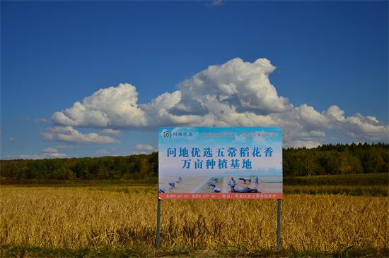 问地五常稻花香种植基地告示牌 返回搜