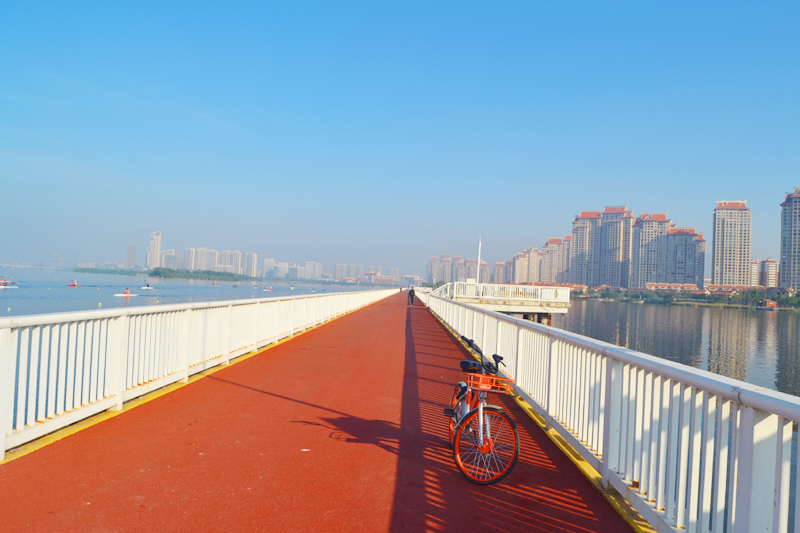 一路骑行厦门最美线路从海上自行车道到集美龙舟池