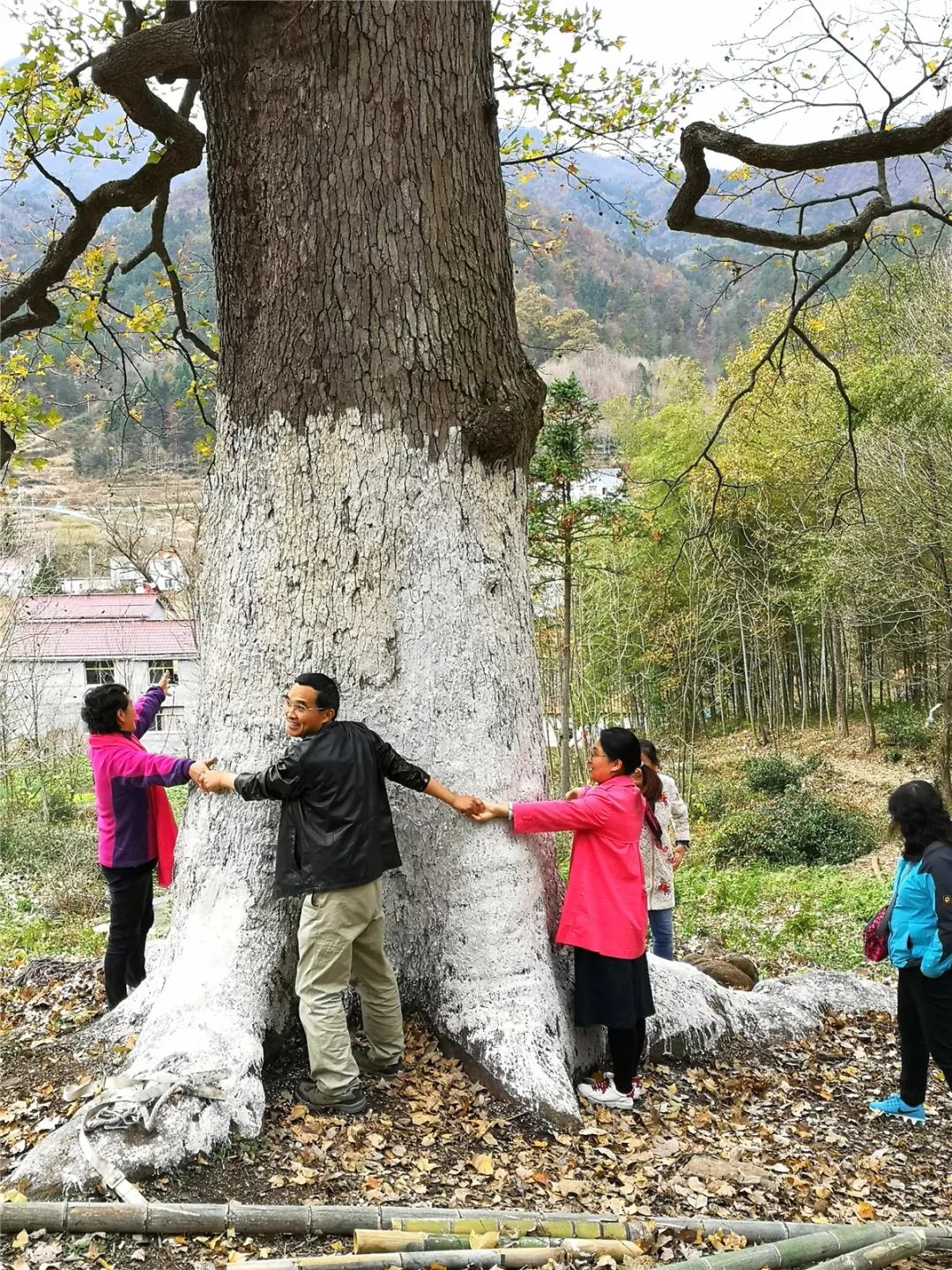 金寨县有多少人口_金寨事丨凌晨一女子醉倒门口不省人事