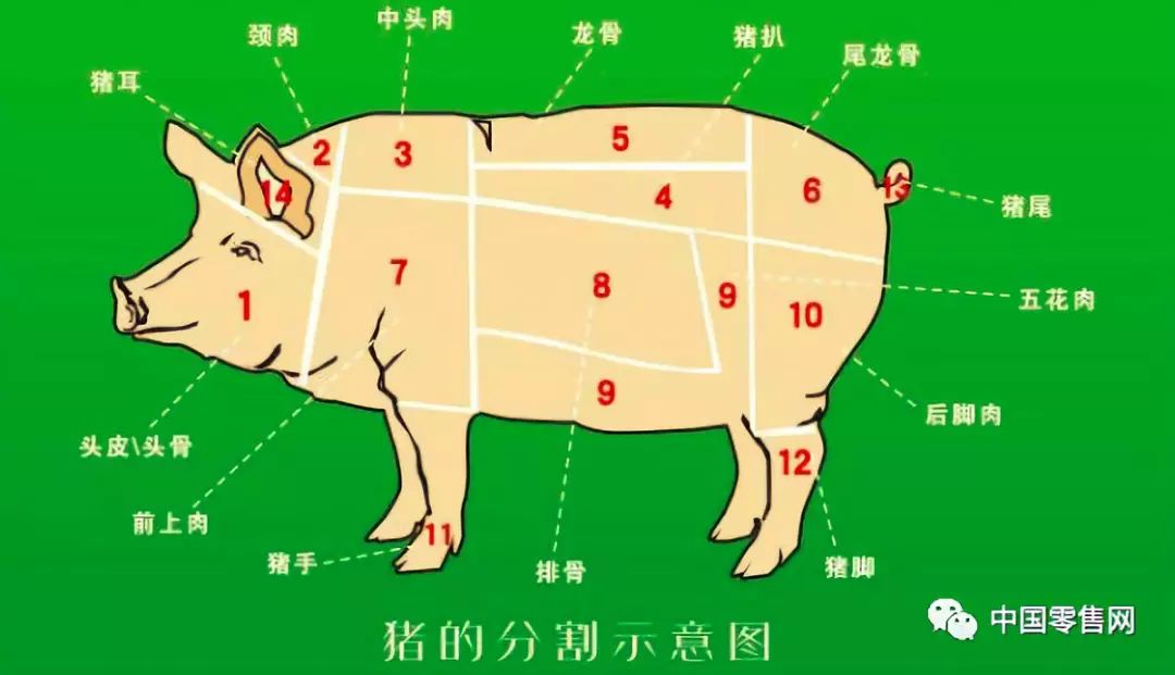 【干货】胖东来猪肉分割视频