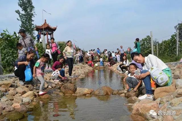 庵上村人口_泊里镇蟠龙庵村图片