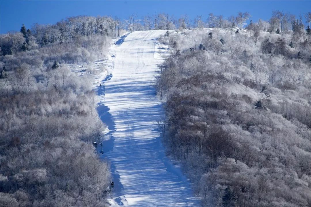 除了适合骨灰级滑雪爱好者的雪道以外,度假区也有青云大道,雪地娱乐