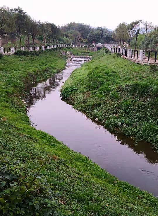 天河大观湿地公园