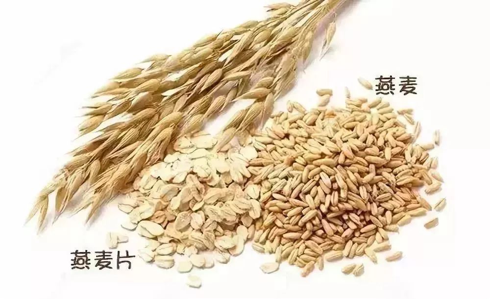 麦片与燕麦片区别在哪里呢?