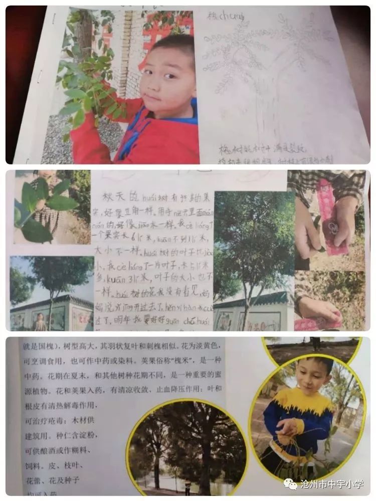 在这个美丽的秋天,我成为了一名小学生.