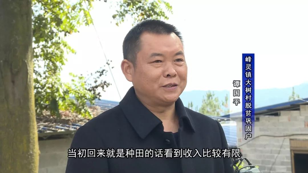 看效果·记者蹲点日记 听峰灵镇大树村的谭国平念"致富经"