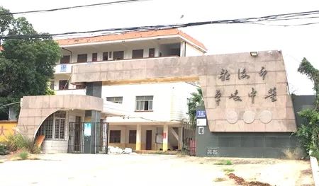 厦大附属实验小学,卓岐小学,卓岐中学,厦大附中,港尾中学,厦大漳州