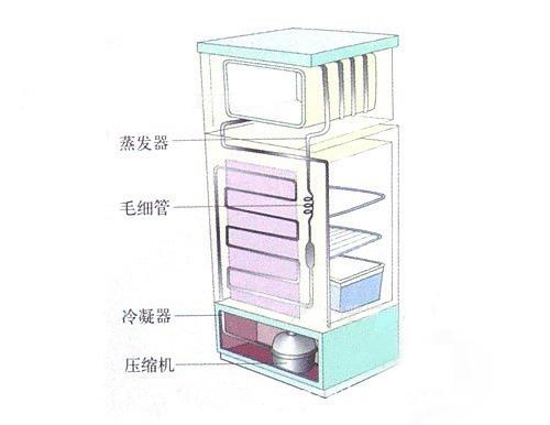 详细讲解直冷冰柜和风冷冰柜的区别,告诉你披萨店商用