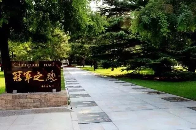 建校65周年以来,北京体育大学的校园里一直有奥运冠军的身影.