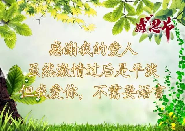 感恩节祝福,因为有你,心存感恩,致我最在乎的人!