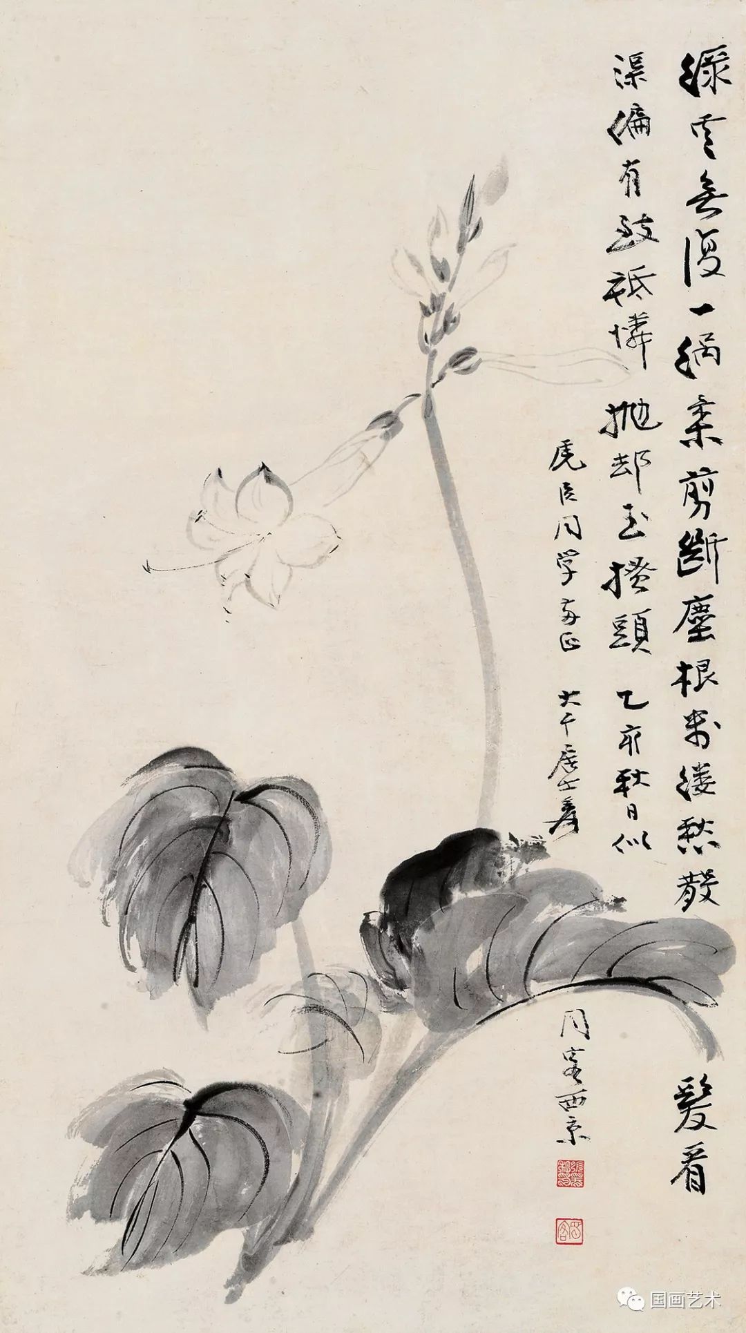 图文教程玉簪花的写意画法