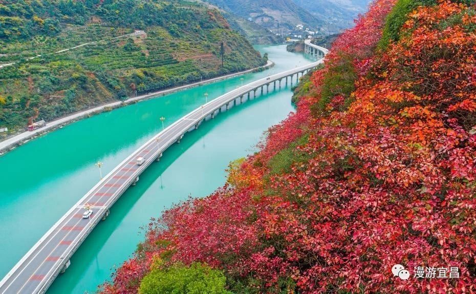 深秋时节"中国最美水上公路"秋色正浓 赶紧去打卡拍照!_兴山县