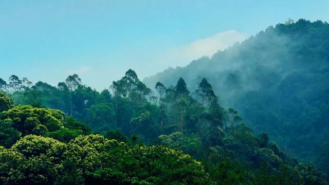 国土绿化新目标出台 2050年我国将迈入林业发