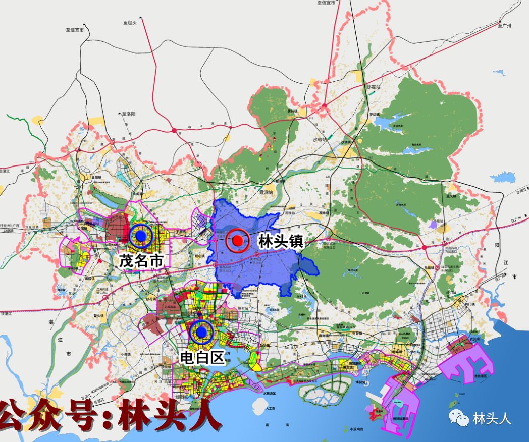 农控集团到茂名市电白区林头镇、树仔镇对接驻镇帮镇扶村组团结对帮扶工作