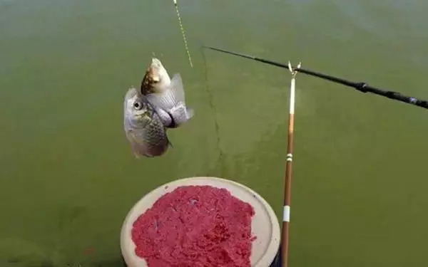 【钓鱼技巧】为何都爱用选吃铅量大的浮漂?你都知道吗