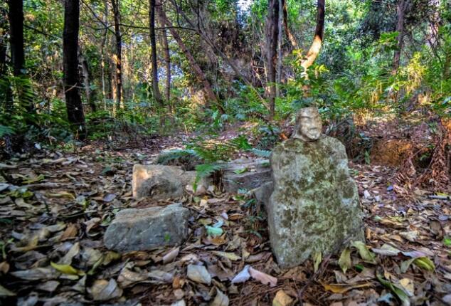 在道县祥霖铺镇田广洞村,有一个叫鬼崽岭的地方,这里满山都是刻成了