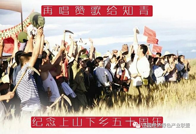 时代记忆知青上山下乡50周年纪念