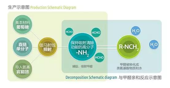 附着在蓝色小球上面的灰色小球就是甲醛分子,高分子结构单元表面密集