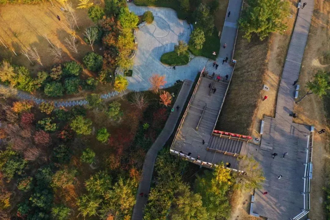 郑州商城遗址,坐落在郑州管城区城东路南段和城南