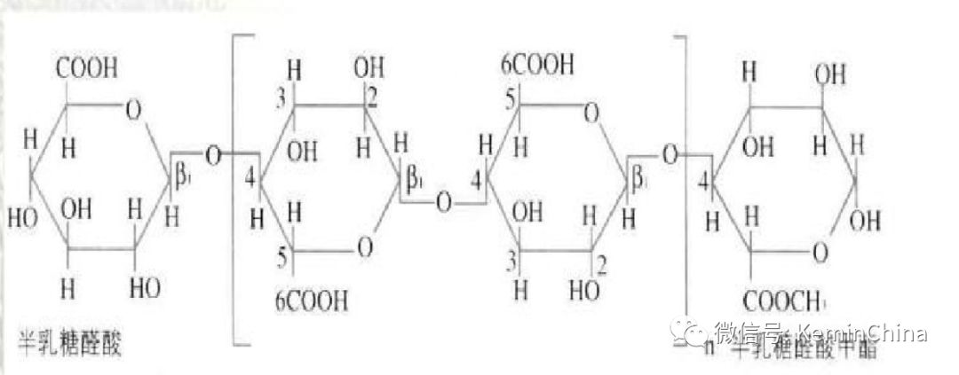 果胶的分子式其二,有益菌和有害菌的营养分配.