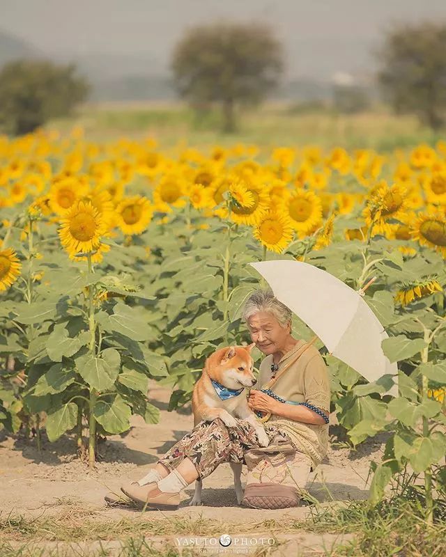 日本摄影师YASUTO：老奶奶和柴柴