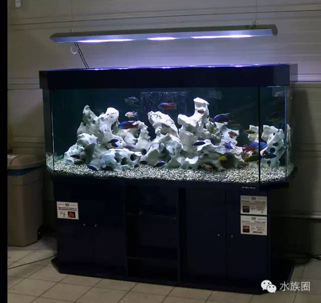 水族知识