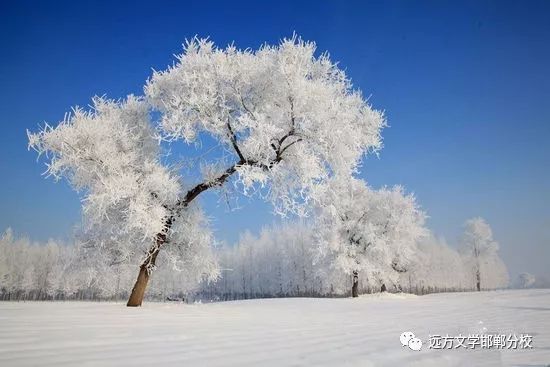 莫愁前路无知己,北风吹雁雪纷纷.