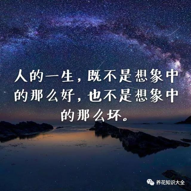 美文|2018激励自己鼓励自己的句子,经典正能量人生语录,句句走心