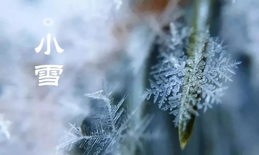 今天小雪!第一个为你送上祝福,愿你快乐安康!打开看看