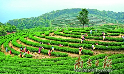 肇庆怀集 深耕城市副中心 厚植绿色新优势