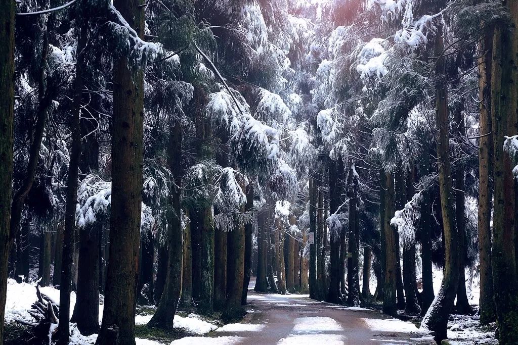 图:摩围山雪景