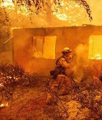 美国加州火山爆发前，主人逃离时忘记带狗，狗狗一直等在原地